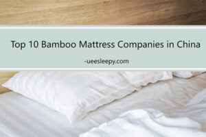 Top 10 Bamboo Mattress Companies in China