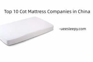 Top 10 Cot Mattress Companies in China